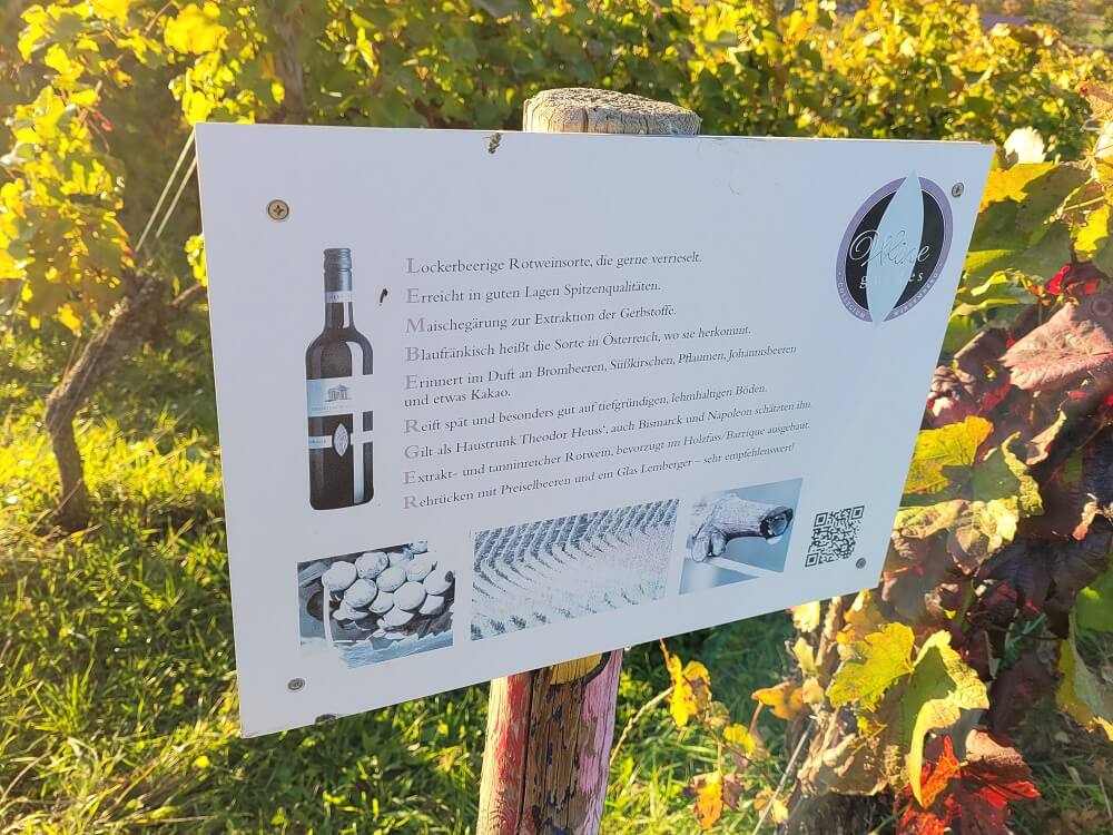 Erklärtafel zu den angebauten Weinsorten