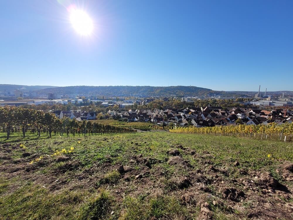 Blick vom Stuttgarter Weinwanderweg auf die Wangener Höhe