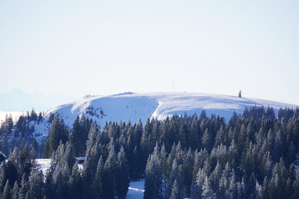 Blick vom Feldberg Panoramaweg auf das schneebedeckte Herzogenhorn
