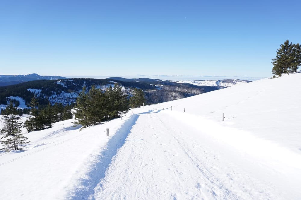 Präparierter Winterwanderweg Feldberg Panoramaweg