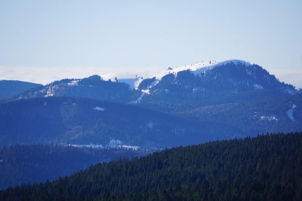Blick auf den schneebedeckten Belchen im Schwarzwald