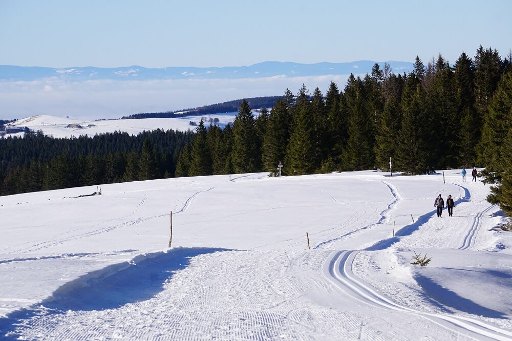 Winter-Wonderland auf dem Feldberg Panoramaweg