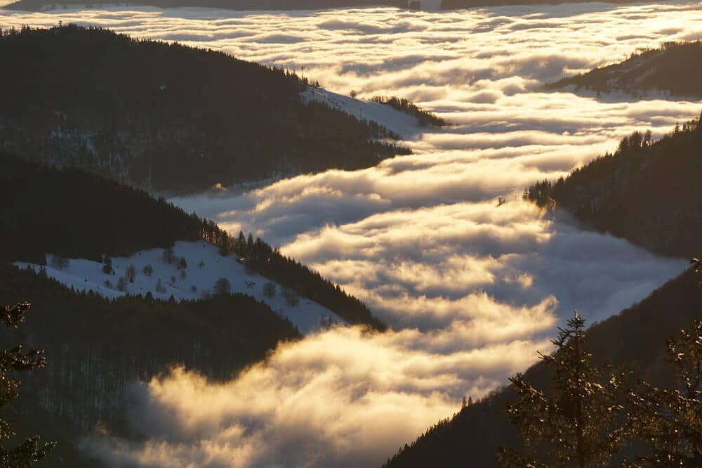 Nebelschwaden beim Sonnenuntergang über dem Schwarzwald