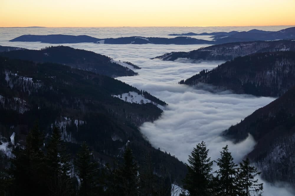 Abenddämmerung mit Nebelwolken auf dem Feldberg Panoramaweg