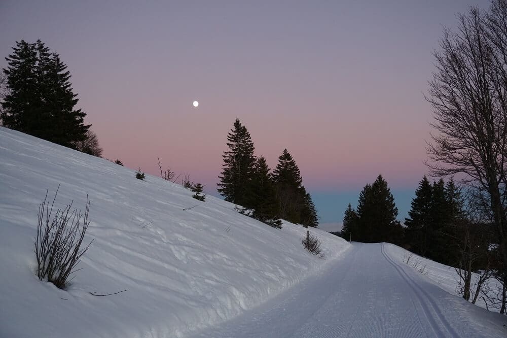 Aufgehender Mond über dem Feldberg Panoramaweg