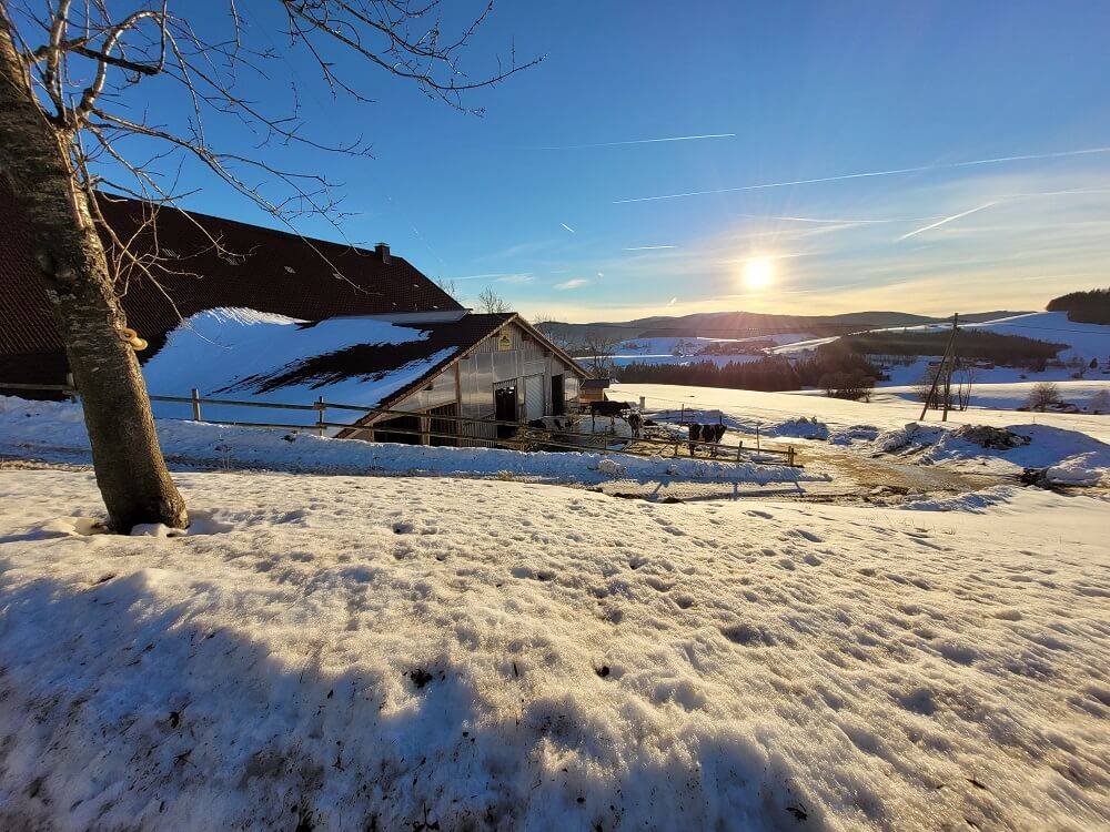 Alte Hütte in Winterlandschaft