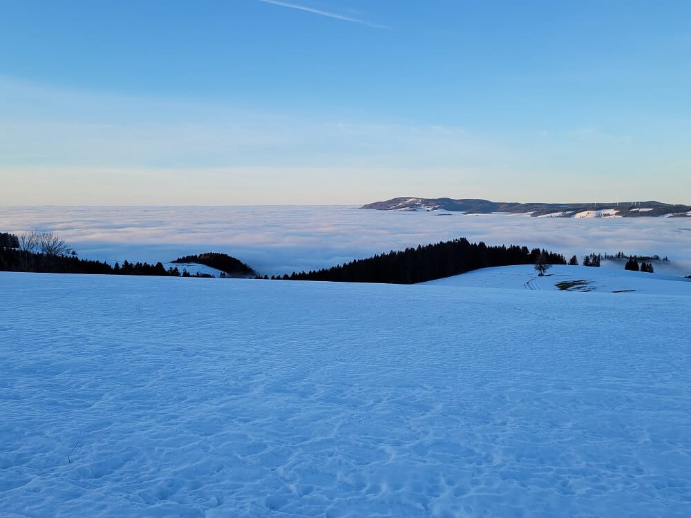 Verschneite Ackerlandschaft mit Nebeldecke über Breitnau im Schwarzwald