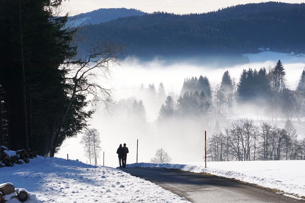 Zwei Wanderer vor einer Nebeldecke mit Schwarzwaldtannen