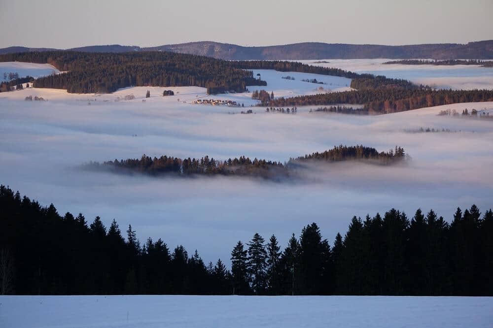Blick auf schneebedeckte Wälder und Nebeldecke im Winter