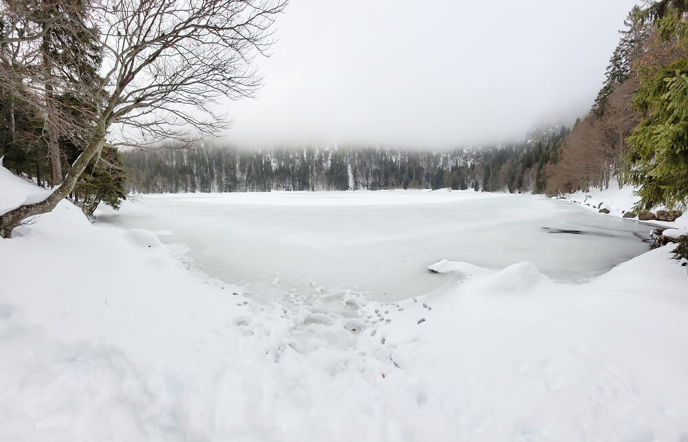 Zugefrorener Feldsee am Feldberg im Winter