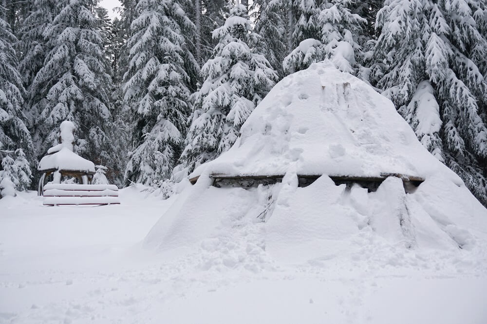 Mit Schnee bedeckte Köhlerhütte am Kniebiser Heimatpfad