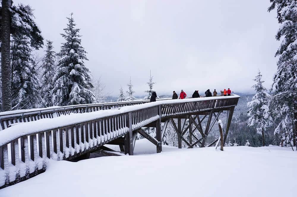Holzbrücke zum Aussichtspunkt Ellbachseeblick