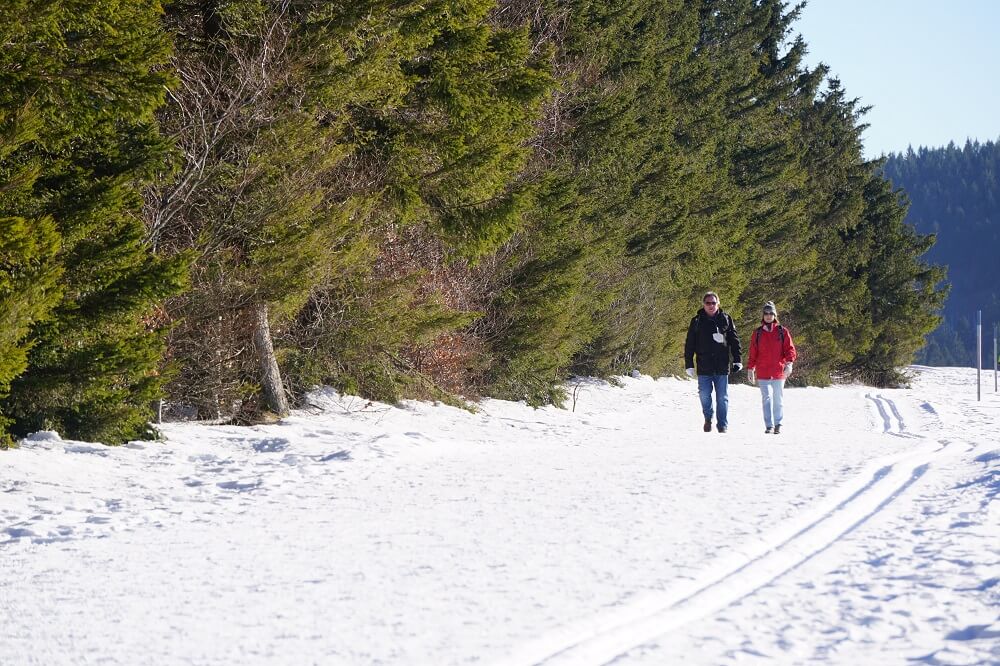 Zwei Wanderer im Schnee