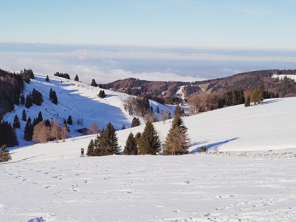 Schneelandschaft im Münstertal im Schwarzwald