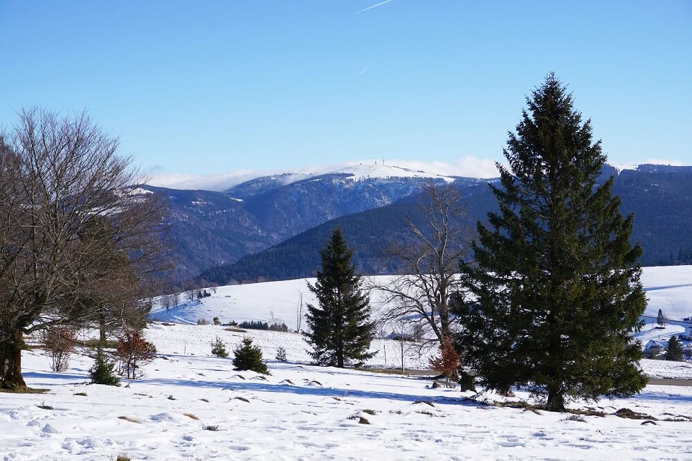 Verschneite Winterlandschaft im Münstertal