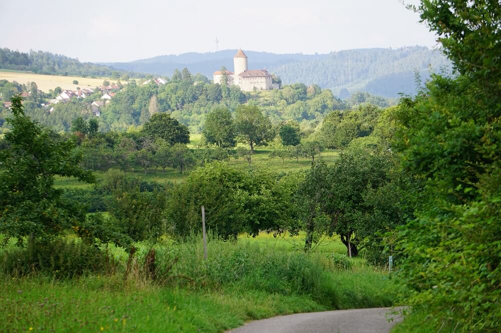 Blick über Streuobstwiesen auf die Burg Reichenberg