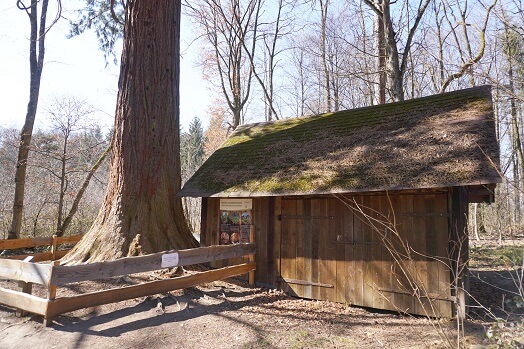 Hütte am Mammutbaum am Herzog-Jäger-Pfad