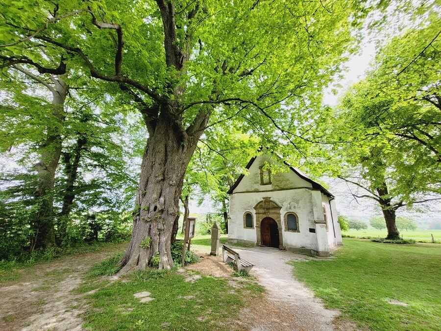 Schöne Kapelle unter hohen Bäumen