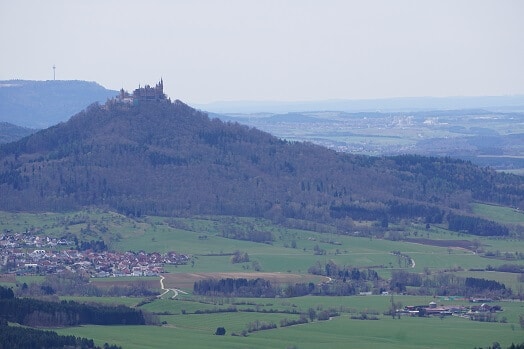 Blick auf Burg und Schwarzwald