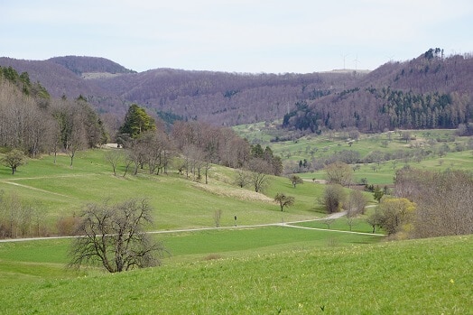 Blick ins Tal bei Talheim