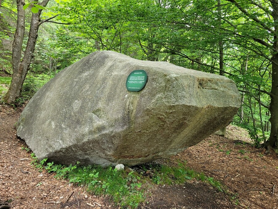 Großer Granitblock im Wald