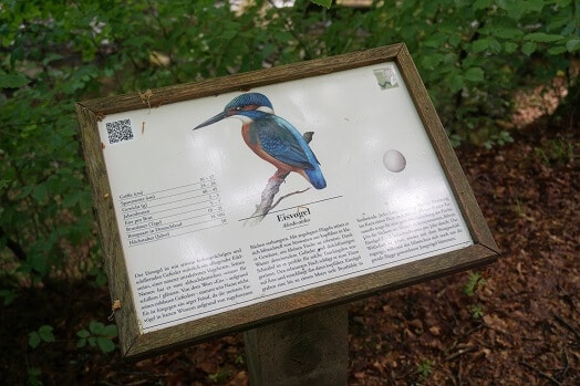 Informationstafel zu heimischen Vögeln