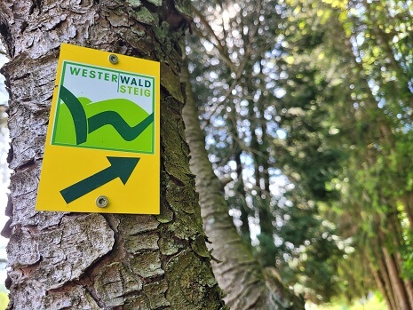 Wegmarkierung vom WesterwaldSteig