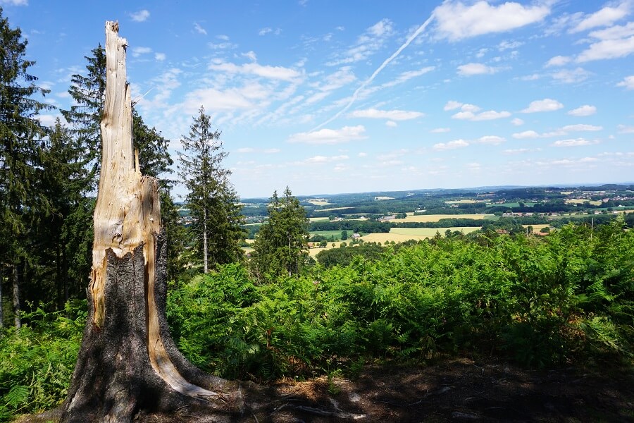 Baumstamm und schöne Aussicht auf Osnabrücker Land