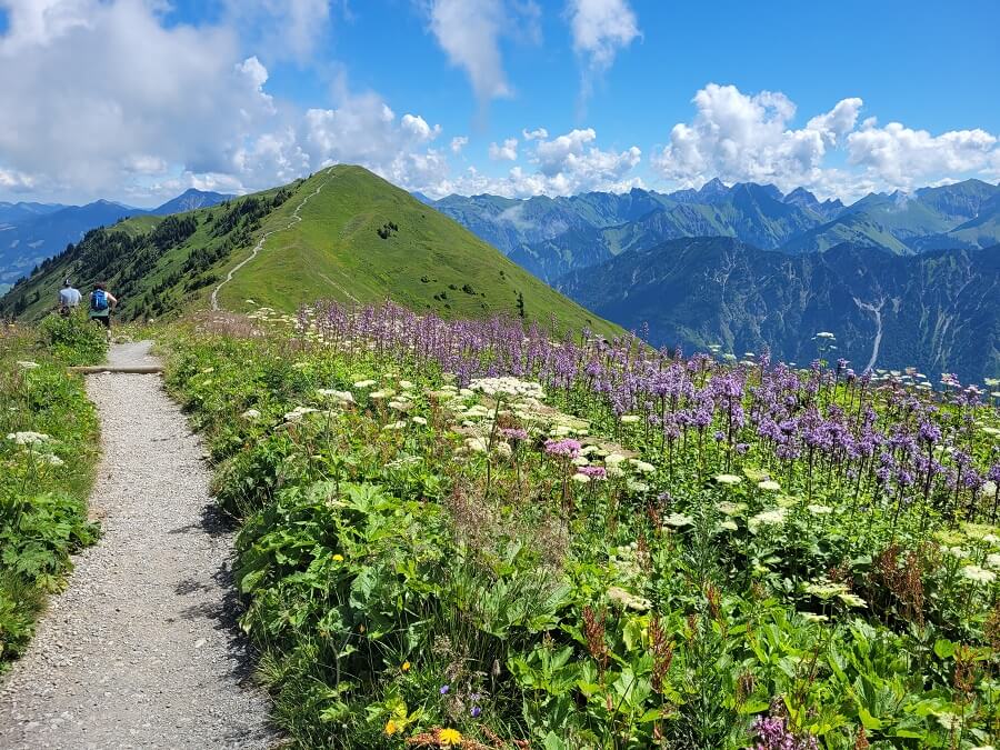 Wanderweg auf Berggipfel und bunte Blumen
