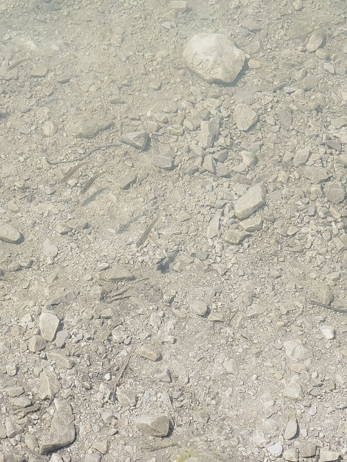 Fische im Bergsee