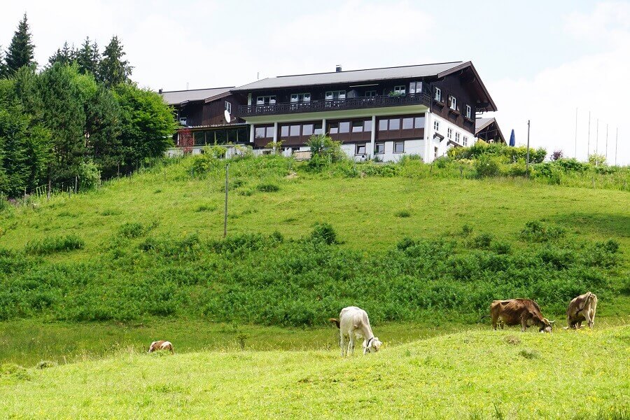 Kühe grasen vor einem Berghotel
