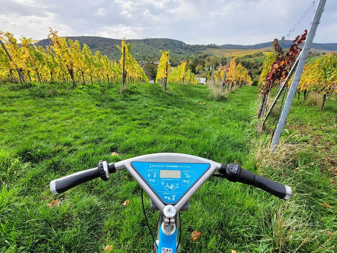 Fahrrad in Weinbergen