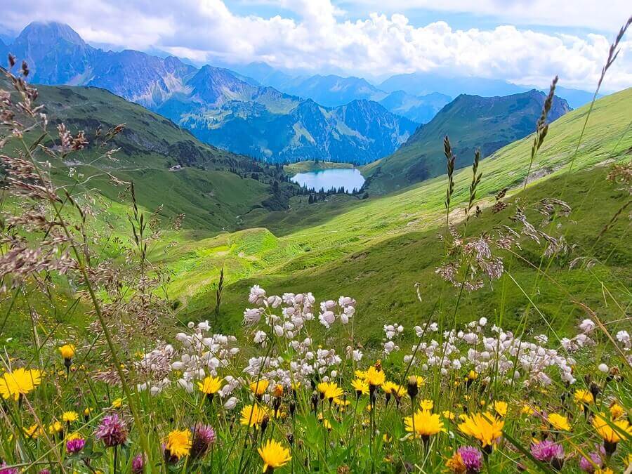 Bergsee in den Alpen mit bunten Blumen