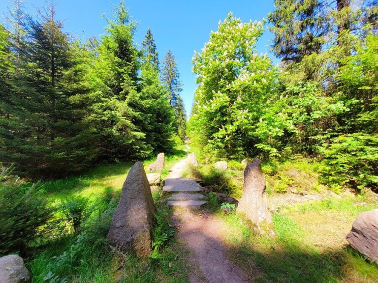 Im Eyachtal Wandern Ab Dobel Ins Tal Der Lehm nner Im Albtal im-eyachtal-wandern-ab-dobel-ins-tal-der-lehm-nner-im-albtal