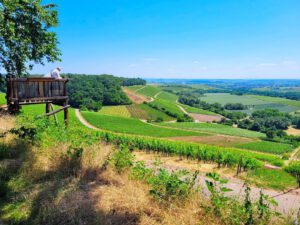 Aussichtsplattform in Weinbergen in Brackenheim