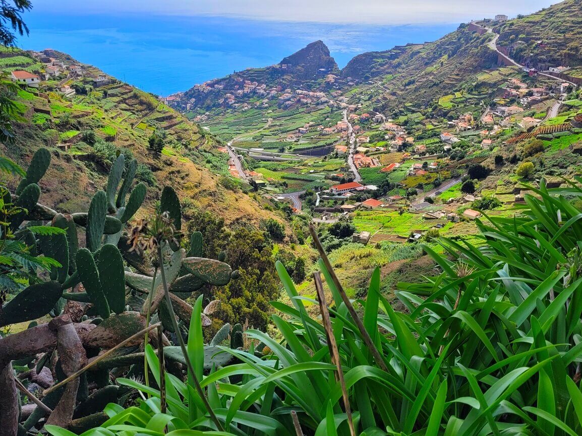 Aussicht auf den Atlantik, Weinberge und Kakteen auf Madeira