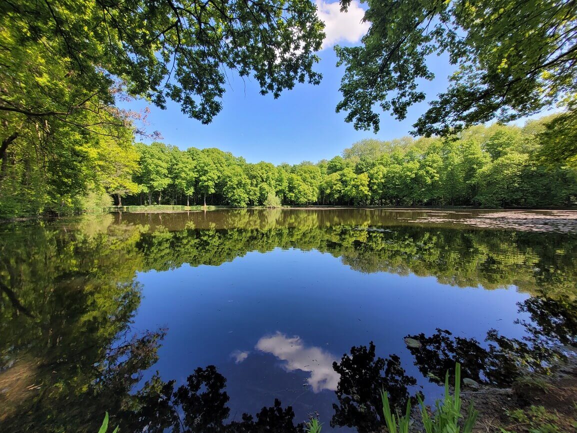 Schöne Baumlandschaft spiegelt sich auf einem See