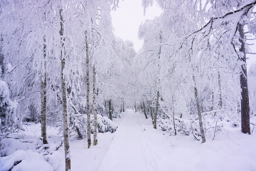 Winterwanderweg im Schnee