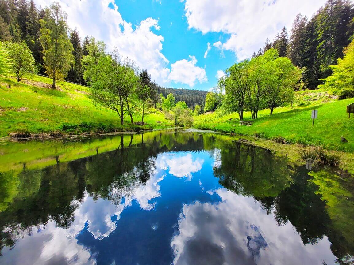 Schöner See in einem Wald