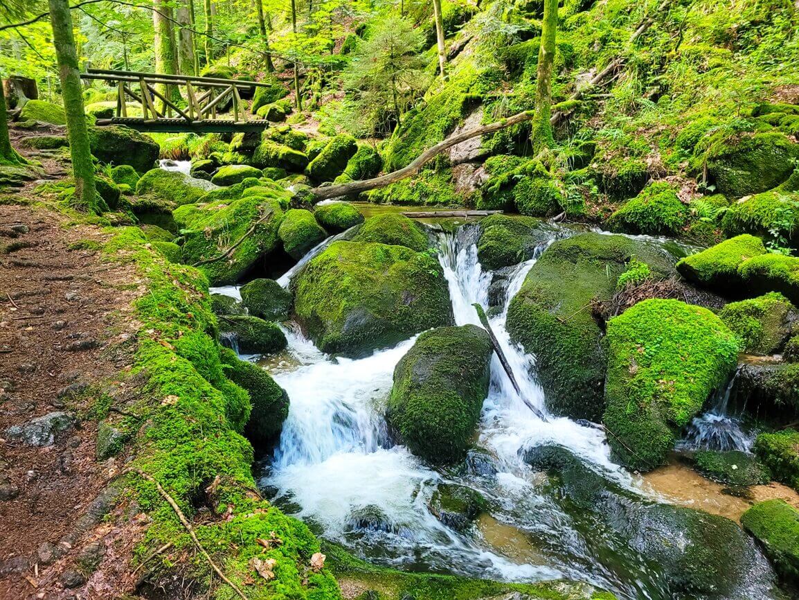 Wasserfälle in einem Wald