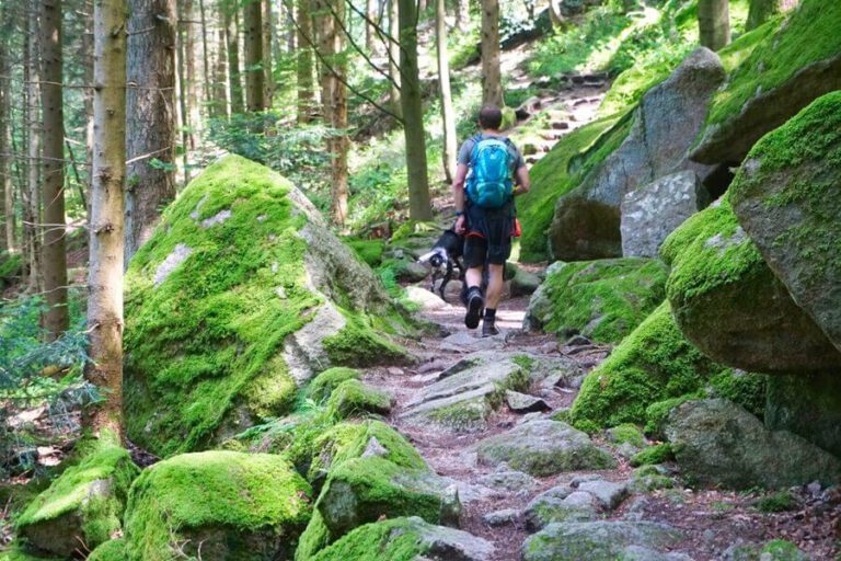 Gertelbach-Wasserfälle wandern: Gertelbach-Rundweg Bühlertal