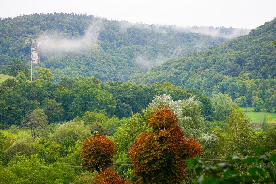 Nebeldunst über der Altmühl Nebelschwaden über einem Wald