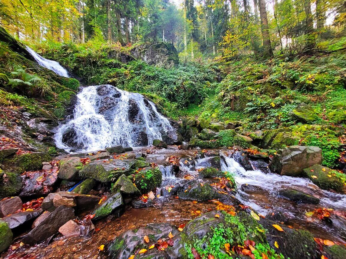 Wasserfall im Wald