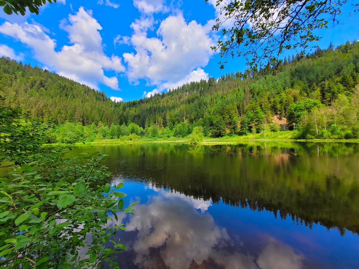 Bäume spiegeln sich in einem See bei schönem Wetter