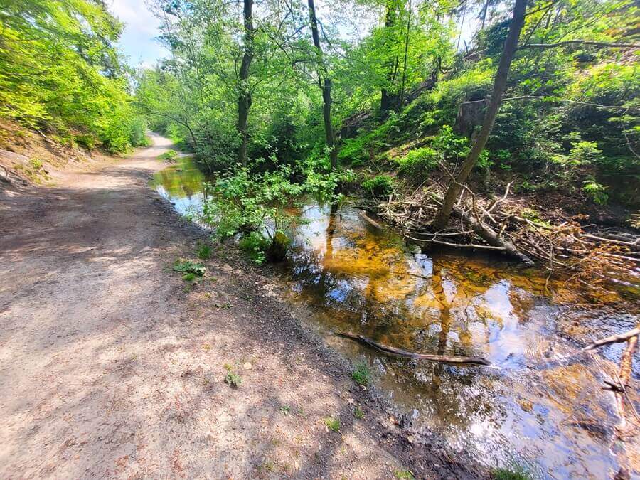 Von Oerlinghausen wandern zum Hermannsdenkmal: Wir befinden uns kurz vorm Ziel. Wanderweg an einem Bach