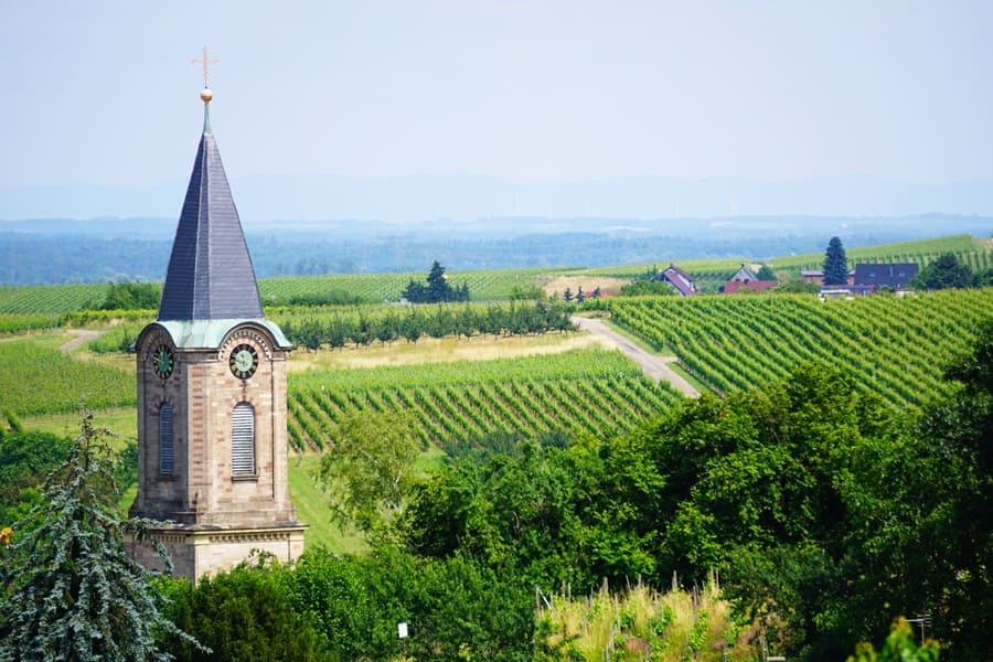 Aussichten von der Bühler Runde bis auf die französischen Vogesen.