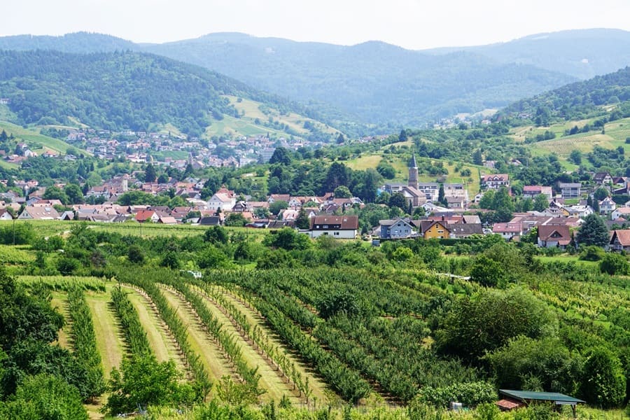 Der Wanderweg Bühler Runde kommt auf eine Gesamtlänge von ca. 12 km.