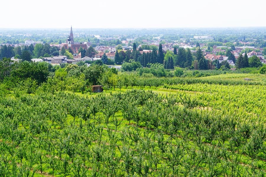 Blick auf die Stadt Bühl.