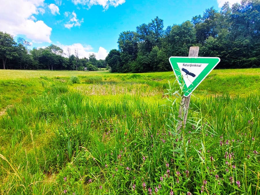 Der Molachsee ist ein alter Vulkanembryo.