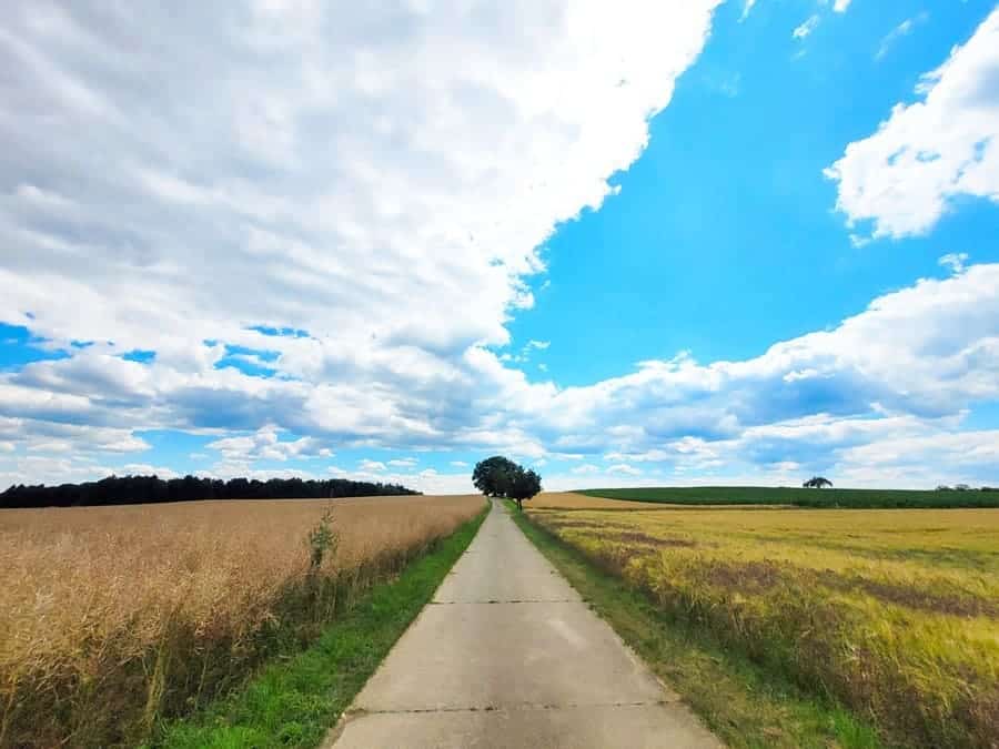 Der Premiumspazierwanderweg "hochgehsiedelt" kommt auf eine Gesamtlänge von ca. 4,9 km.